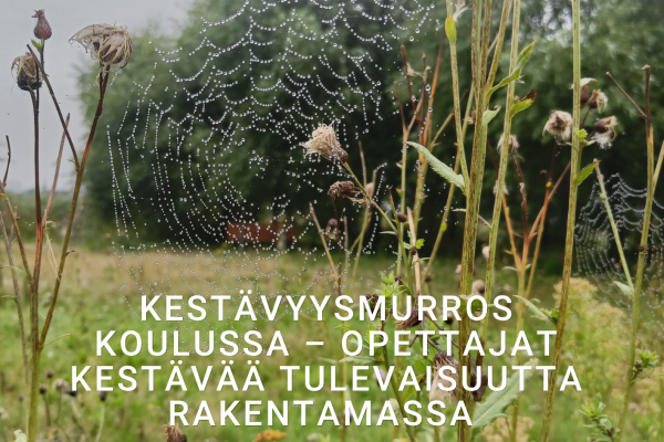 Kestävyysmurros koulussa – opettajat kestävää tulevaisuutta rakentamassa