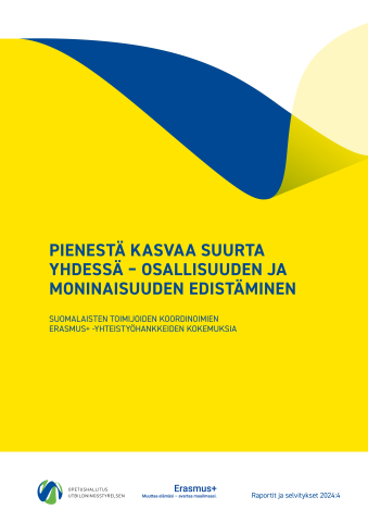 Julkaisun kansi, jossa teksti Pienestä kasvaa suurta - osallisuus ja moninaisuus..