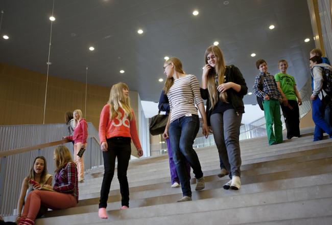 Kuvituskuva, koululaisia kulkemassa rappusia