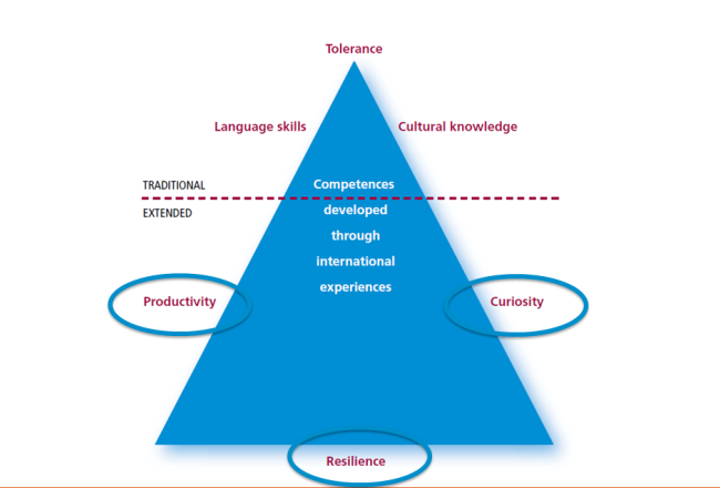 Language skills, tolerance and cultural know-how have traditionally been seen as competences acquired through international experiences. In a wider sense, hidden international competences can also include productivity, curiosity and tenacity.