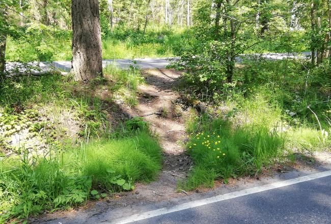 Kuvituskuva oikopolusta