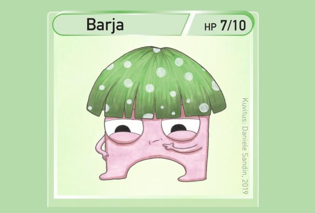 Barja
