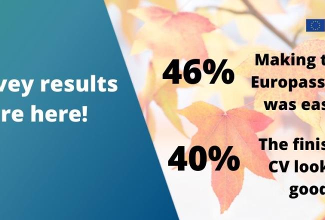 Survey results are here! 46% Making the Europass Cv was easy! 40% The finished CV looked good.