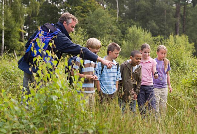 Teacher and children exploring nature