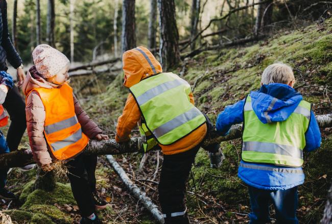 Lapsia metsässä kiipeilemässä puunrungon päällä.