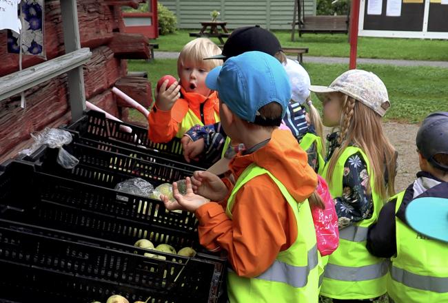 Päiväkodin lapset ihmettelevät omenoita pihalla. 