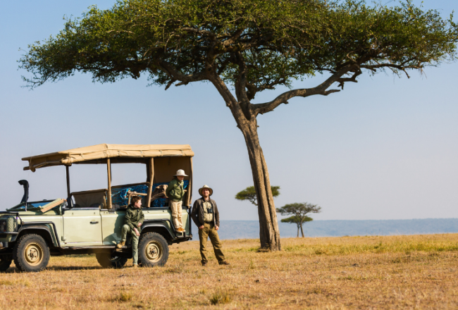 Safari