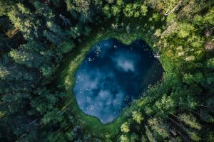 Ilmakuva lammesta keskellä metsää. Lammesta heijastuu taivas ja pilviä
