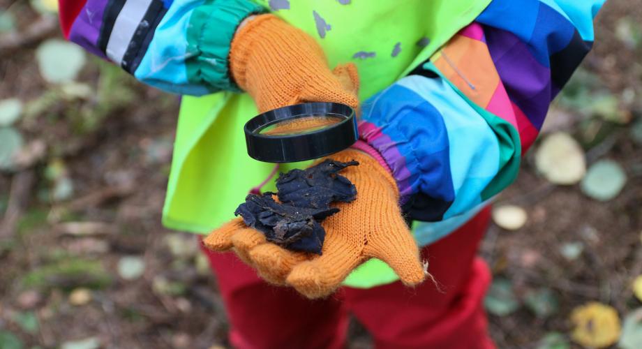 Kuvituskuva, lapsi katsoo kädellään olevaa asiaa suurennuslasilla
