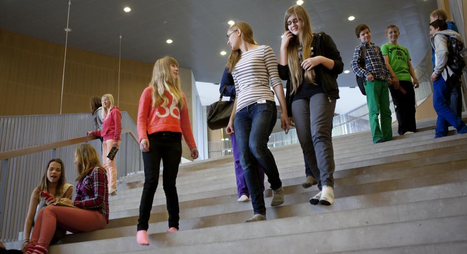 Kuvituskuva, koululaisia kulkemassa rappusia