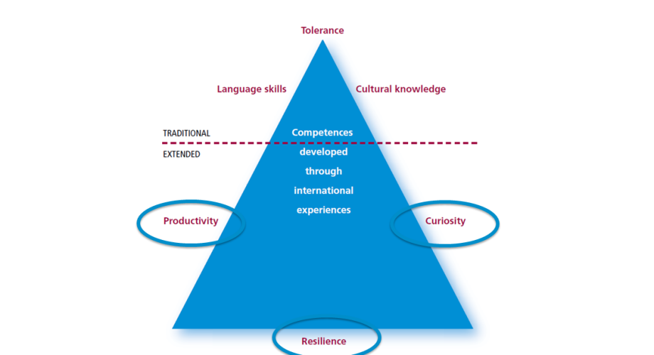 Language skills, tolerance and cultural know-how have traditionally been seen as competences acquired through international experiences. In a wider sense, hidden international competences can also include productivity, curiosity and tenacity.