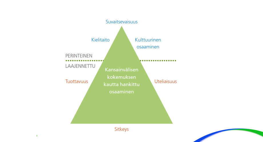Kansainvälisen kokemuksen kautta hankituksi osaamiseksi on perinteisesti nähty kielitaito, suvaitsevaisuus ja kulttuurinen osaaminen. Laajennetussa näkökulmassa piilotettua kansainvälistä osaamista ovat myös tuottavuus, uteliaisuus ja sitkeys.