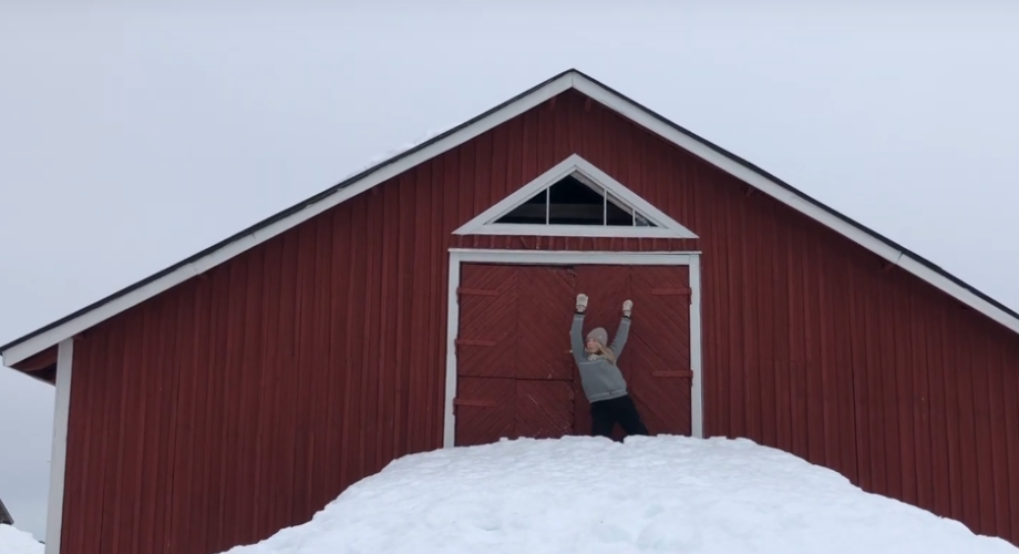 Dance Me UP -hanke, Luova Eurooppa