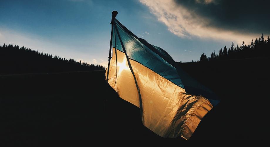 Kuvassa Ukrainan lippu, taustalla metsä ja taivasta. 