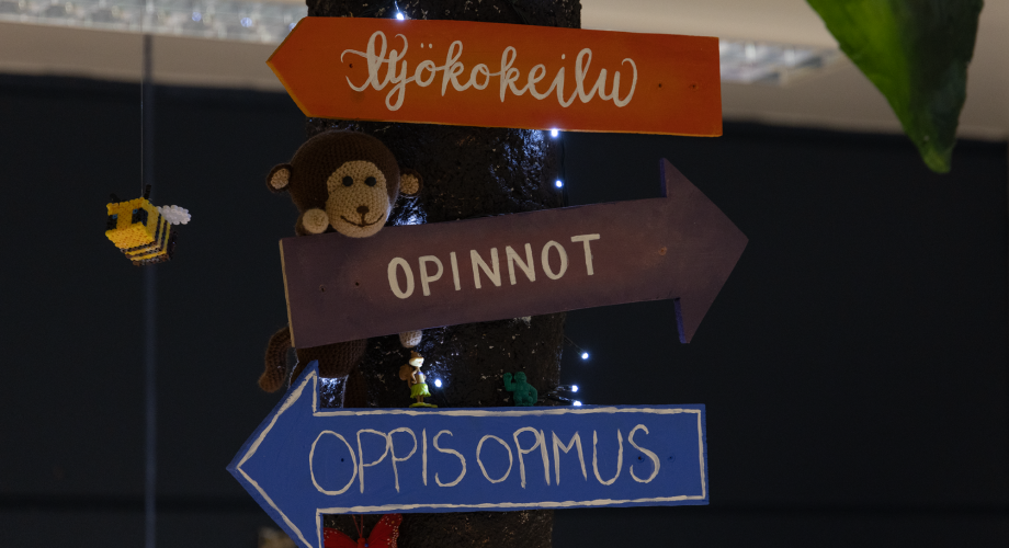 Eri suuntiin osoittavissa viitoissa lukee työkokeilu, opinnot ja oppisopimus. Yhdessä kyltissä roikkuu pehmoapina.