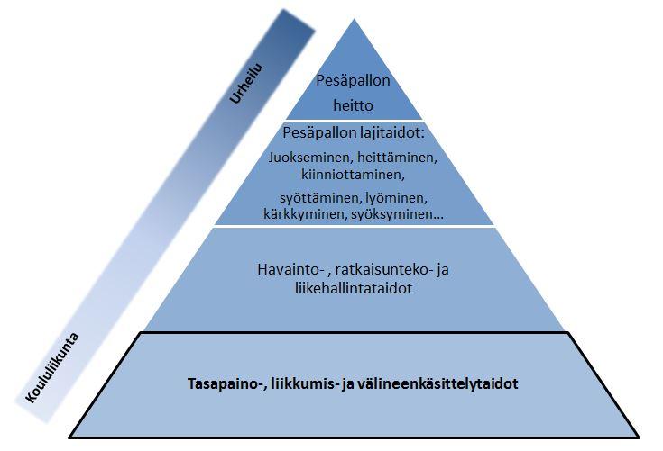 Pyramidin alakerroksessa kuvataan koululiikunnassa opittavia tasapaino-, liikkumis- ja välineenkäsittelytaitoja. Ylös päin kohti urheilulajeissa tarvittavia tarkkoja taitoja liikuttaessa mukaan tulevat havainto-, ratkaisunteko- ja liikehallintataidot, jonka jälkeen tulevat kokonaisuutena pesäpallon lajitaidot ja vielä tarkemmin pesäpallon heittotaito.