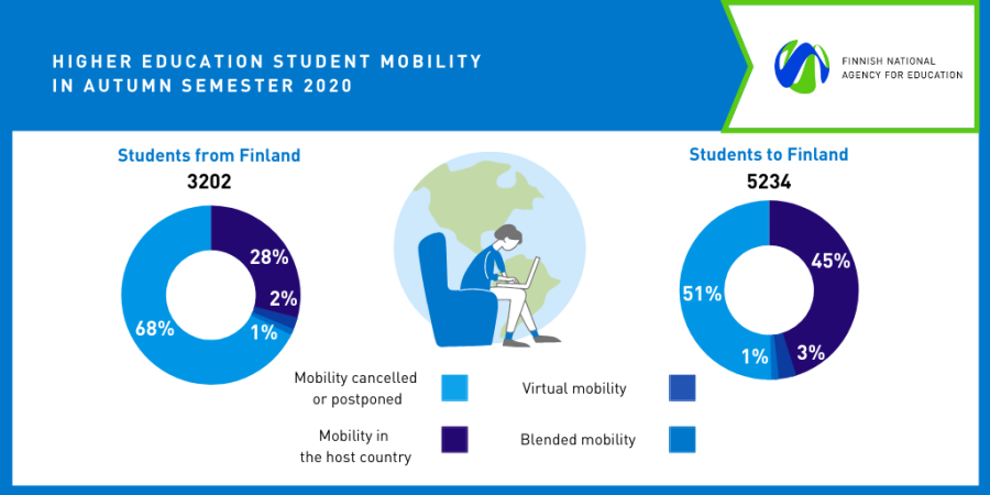 Graph showing the type of student mobility in higher education in autumn 2020