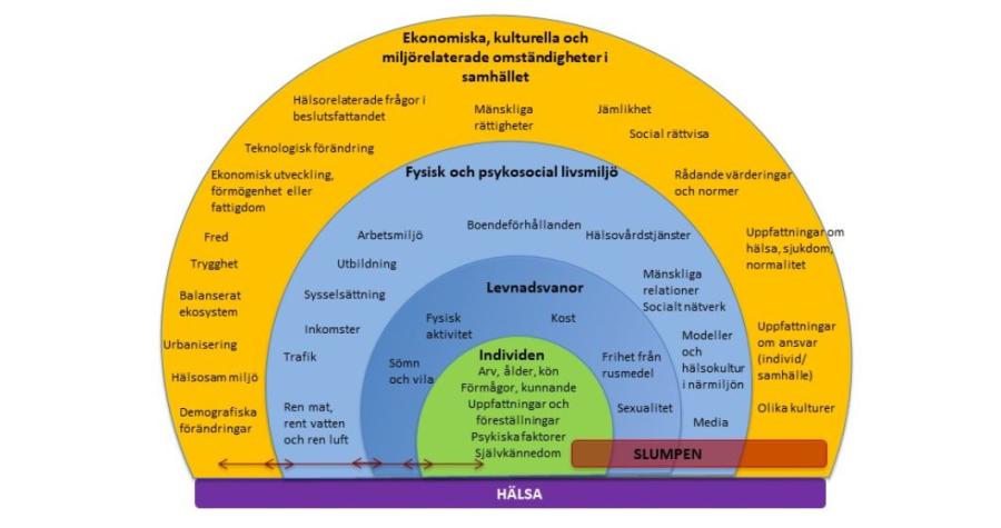 Figur med olika färger som beskriver förutsättningar för hälsa.