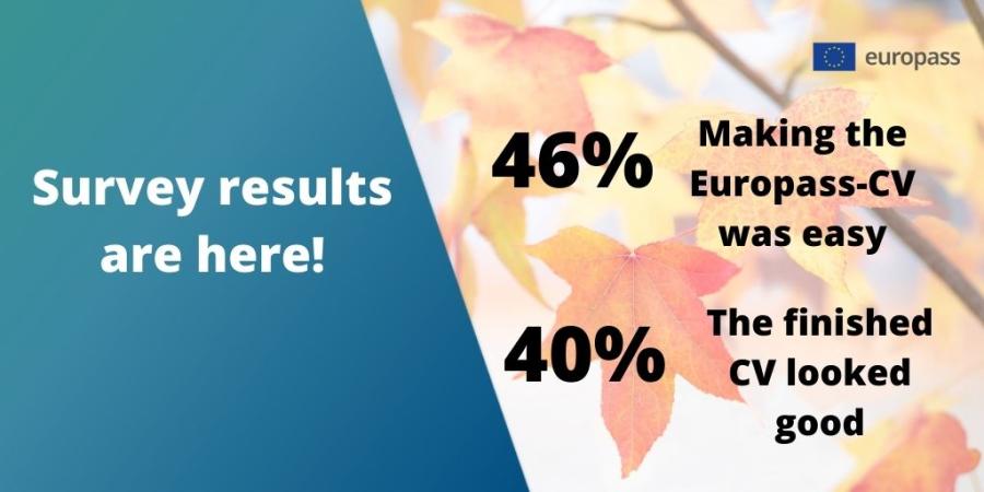 Survey results are here! 46% Making the Europass Cv was easy! 40% The finished CV looked good.