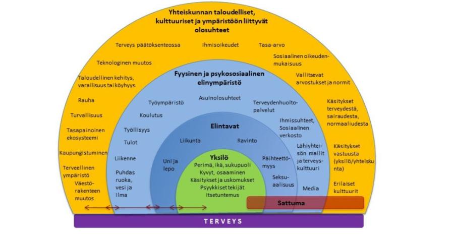 Kuvio missä esitellään terveyden edellytykset yksilölle.