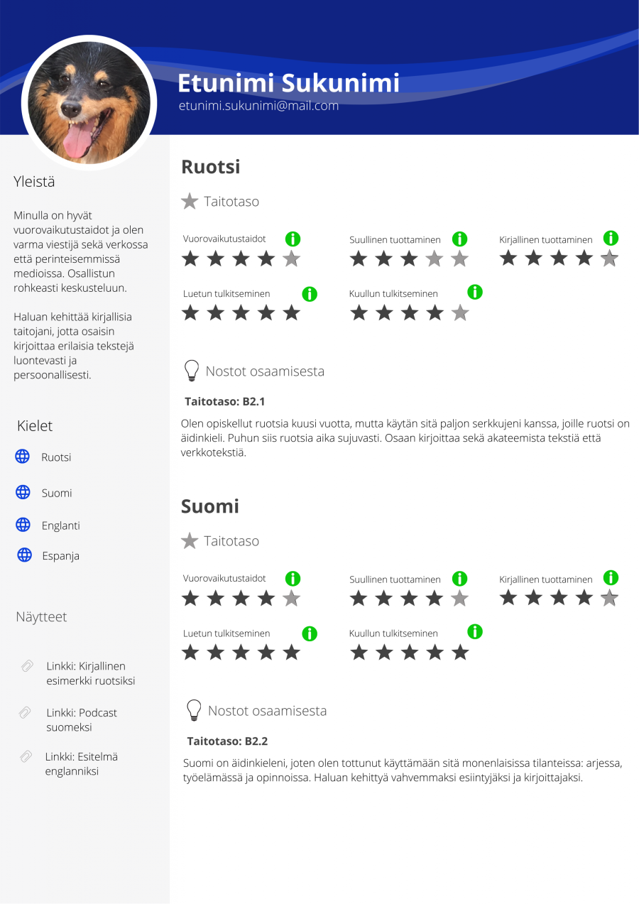 Esimerkki täytetystä kieli-cv:stä, jossa kerrotaan kielitaidosta yleisesti, listataan osaamat kielet, ja kerrotaan niiden taidoista erikseen. Lisäksi liitteissä on listattu mahdollisia näytteitä.