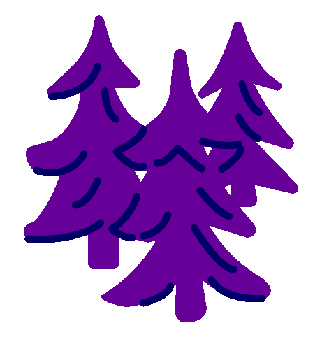 Violetit kuuset