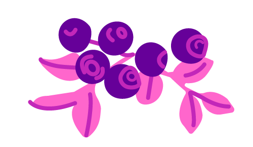 Purppuraiset mustikat