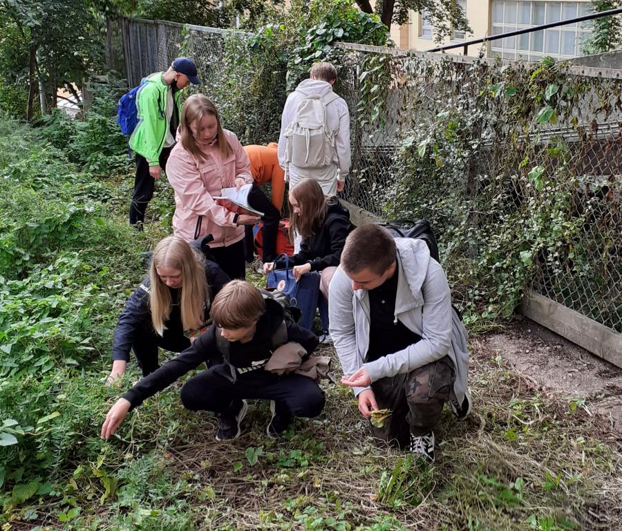 Kuvassa oppilaat ovat keräämässä luonnonmateriaaleja  tulevan työnsä suunnittelua ja pinnan kuviointia varten
