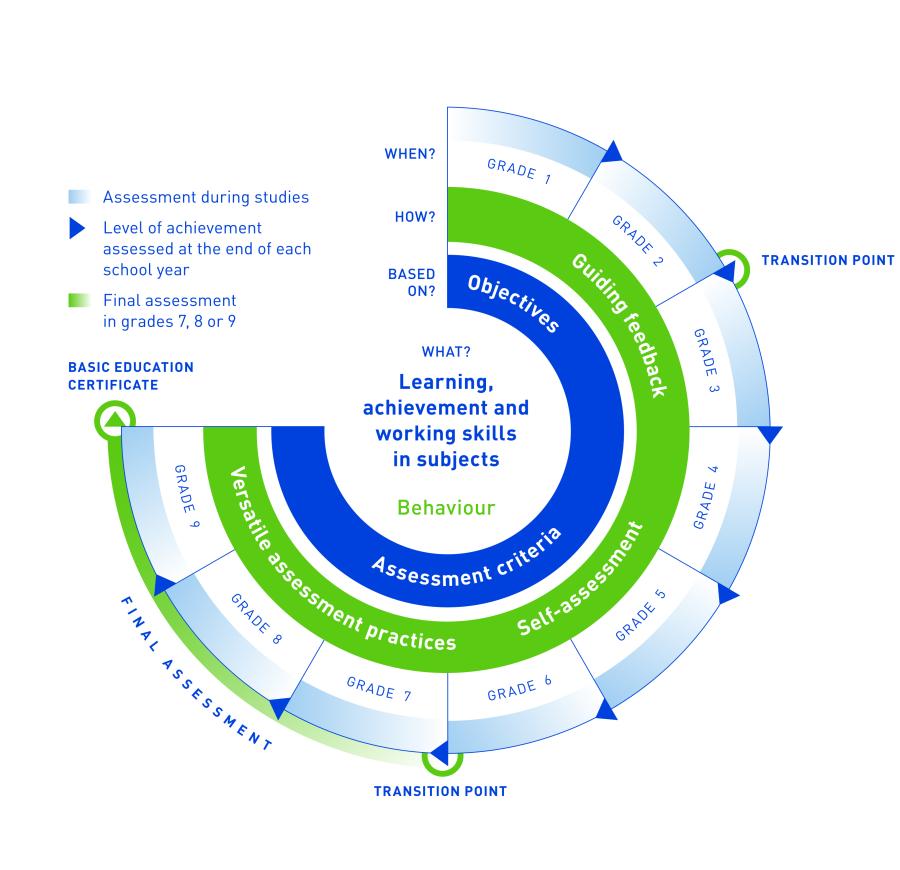 Graph showing the process and elemnts of student assessment. COntent described on webpage.