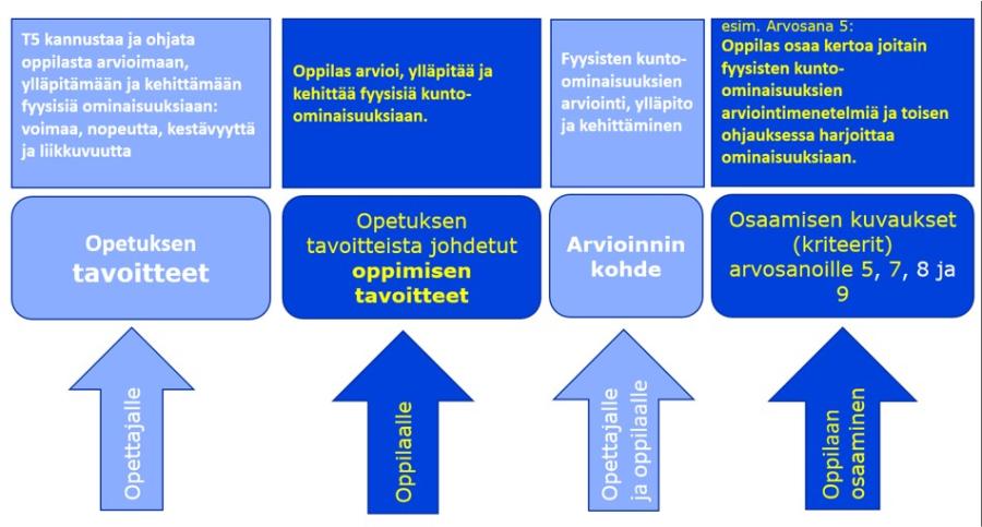 Kuvituskuva: Esimerkkinä liikunnan arvioinnista tavoite 5. Kuviossa lueteltuna tavoitteet, oppimisen tavoitteet, arvioinnin kohteet ja oppilaan osaamisen kriteerit