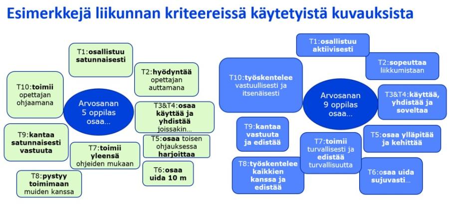 Kuvituskuva: Kaaviossa on esitettynä esimerkki siitä, miten arvosanan 5 ja 9 oppilas näyttäytyy työskentelyn osalta liikunnan kriteereissä käytetyissä sanallisissa kuvauksissa