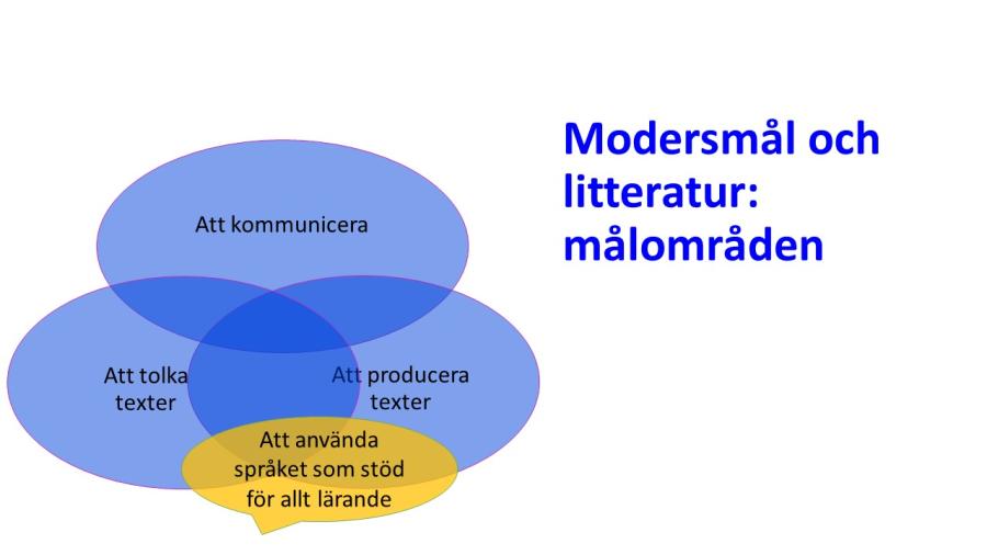 Figur som åskådliggör de fyra målområdena i modersmål och litteratur