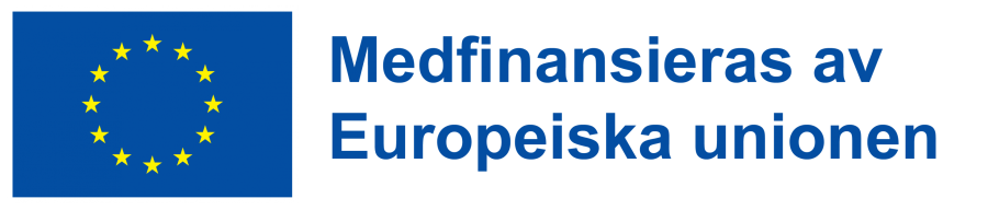 Logo Medfinansieras av Europeiska unionen