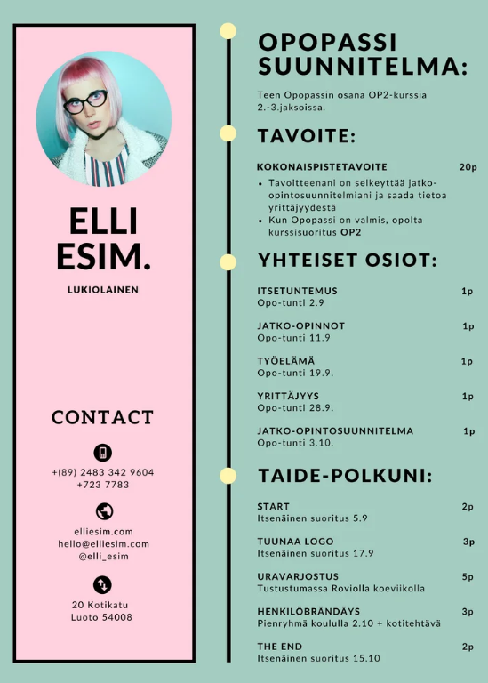 Kuvituskuva. Esimerkkisuunnitelma Opopassista.