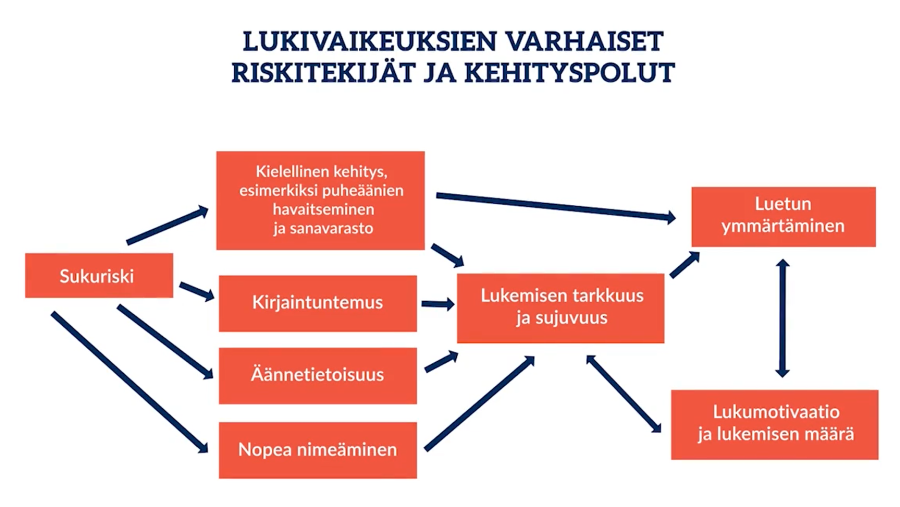 Lukivaikeuksien varhaiset riskitekijät ja kehityspolut -kuva. Kuvan tekstivastine on kuvan alla.