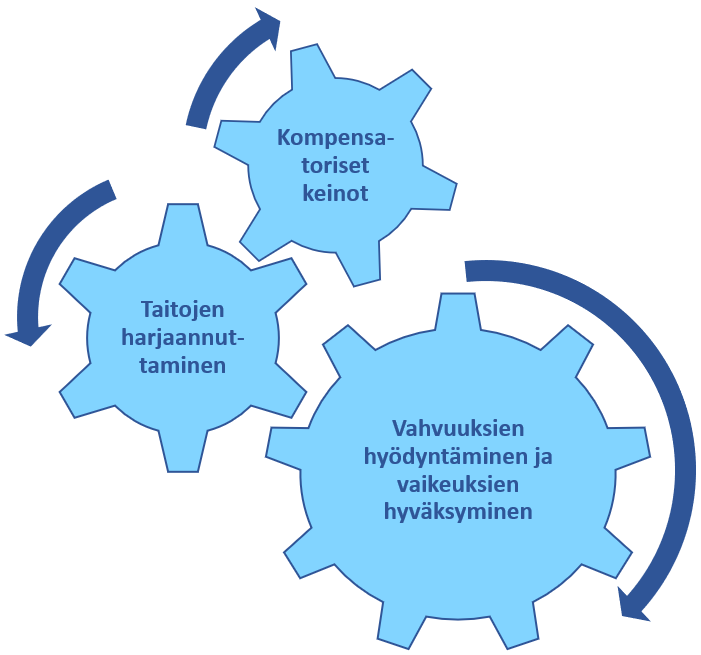Kolme yhdessä toimivaa ratasta: taitojen harjaannuttaminen, kompensatoriset keinot, vahvuuksien hyödyntäminen ja vaikeuksien hyväksyminen. 