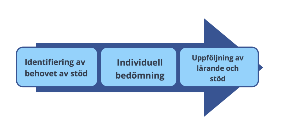 Identifiering av behovet av stöd - individuell bedömning - uppföljning av lärande och stöd