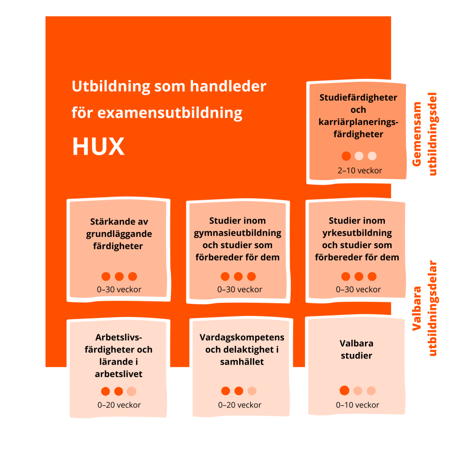Bild på uppbyggnaden av utbildning som handleder för examensutbildning