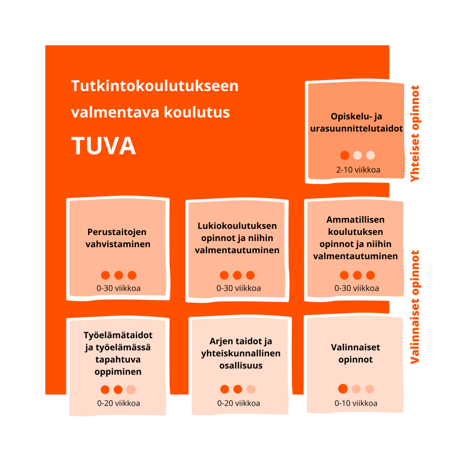 Kuva tutkintokoulutukseen valmentavan koulutuksen muodostumisesta