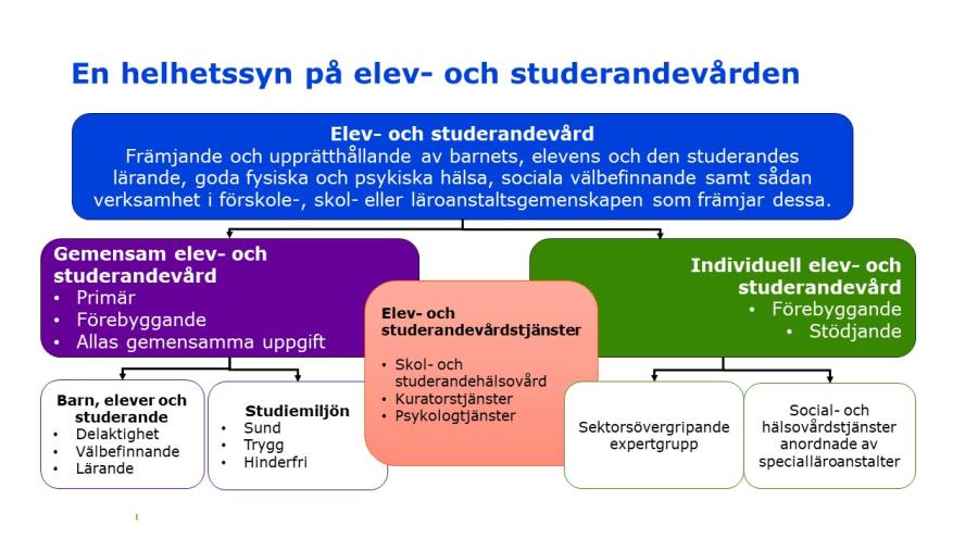 En helhetssyn på elev-och studerandevården