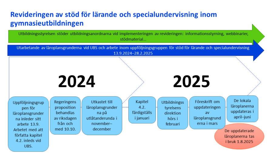Revideringen av stöd för lärande och specialundervisning inom gymnasieutbildningen​