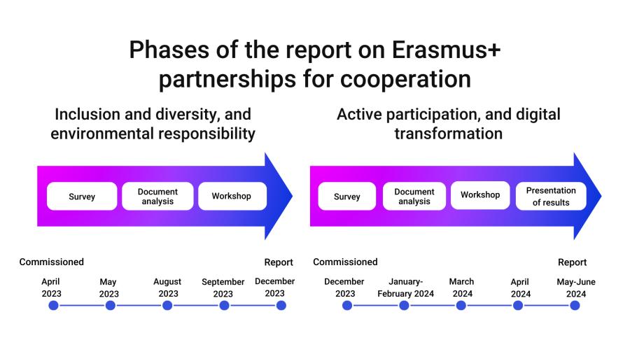 Phases of the report; the text can be found under the image.