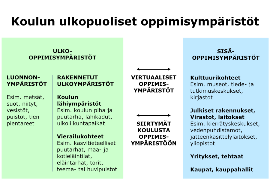 Kaaviokuvassa ryhmitellään koulun ulkopuoliset oppimisympäristöt ulko-oppimisympäristöihin, kuten luonnonympäristöihin ja rakennettuihin ympäristöihin sekä sisä-oppimisympäristöihin, kuten yrityksiin, kulttuurikohteisiin ja niin edelleen. Näiden väliin jää virtuaaliset oppimisympäristöt ja siirtymä koulusta oppimisympäristöön.