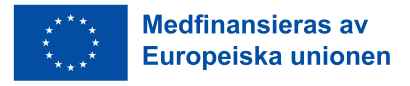 EU-flaggan som föreställer en cirkel av tolv stjärnor på blå botten och text medfinansieras av Europeiska unionen.